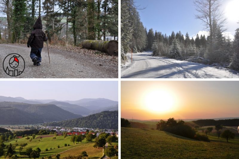 5 regionów w Niemczech, które warto odwiedzić_Szwarcwald